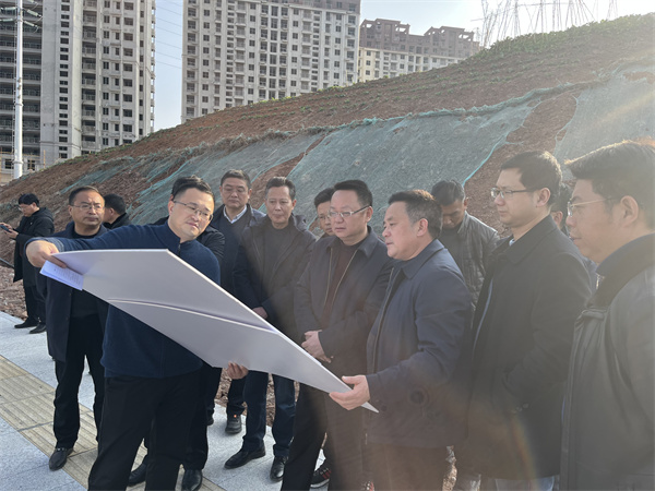 1月19日汪凯县长一行调研集团项目建设（乐动网页版登录入口-乐动（中国）大厦）.jpg